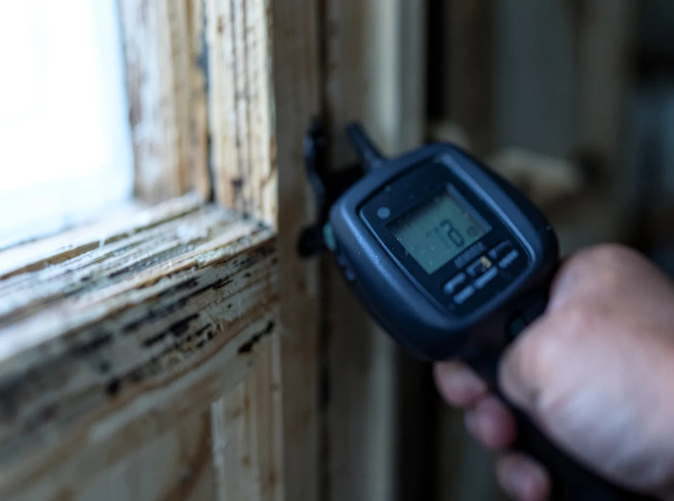 Moisture Inspection And Documentation in Old Westbury, NY